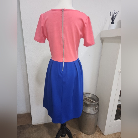Lularoe Amelia Style Pocket Dress Sz Med Colorblock Stretch Fit Flare Pink Blue - Picture 12 of 12